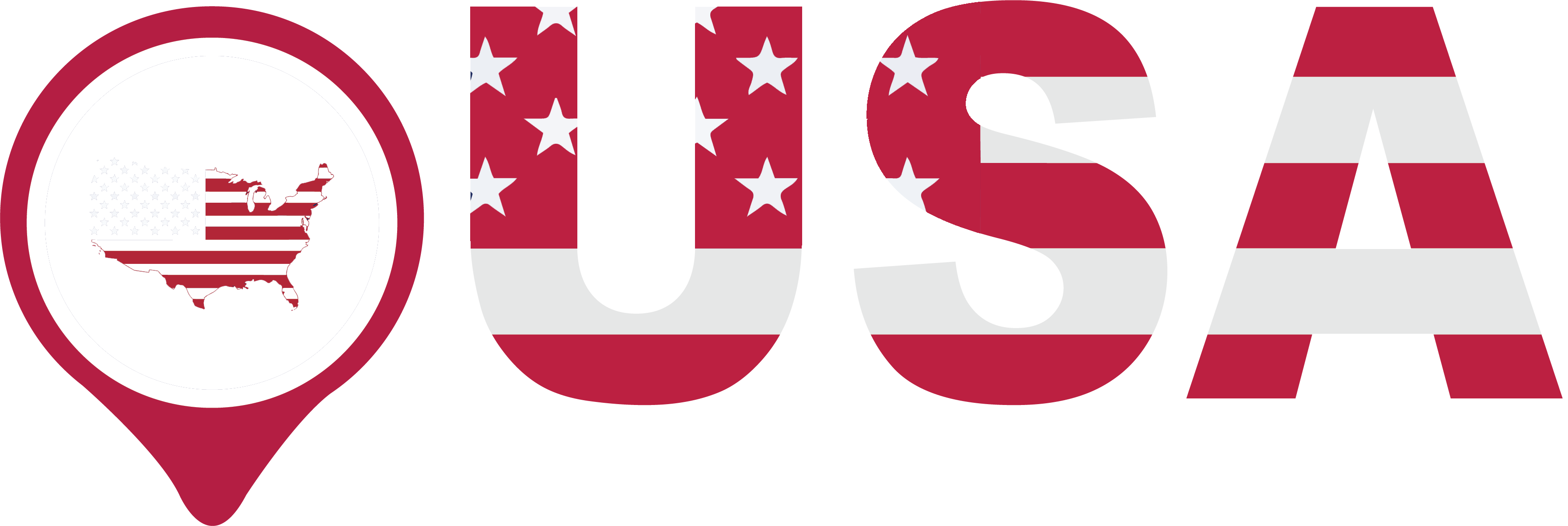 USA logo